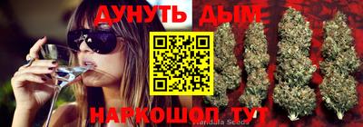 трава Славгород