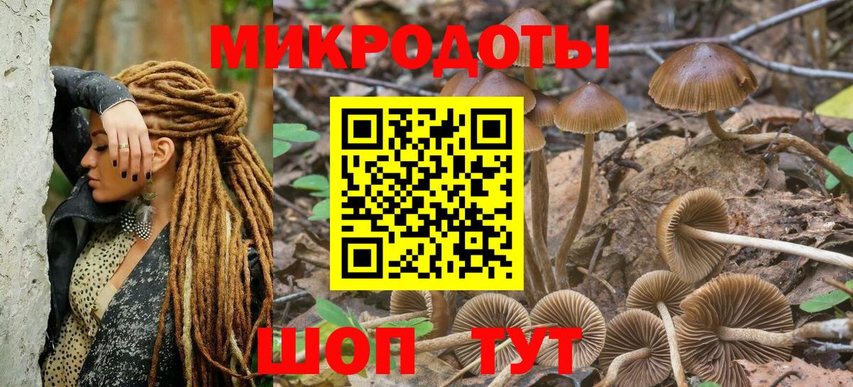 Псилоцибиновые грибы мухоморы Новотроицк